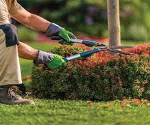 landscaping